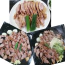 황금오리 이미지