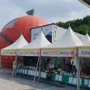 애플쉼터 | [충주휴게소] 충주 사과와 함께하는 맛있는 쉼터 방문 후기! 🍎 (ft. 충주 사과빵)