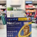 양지온누리약국 이미지