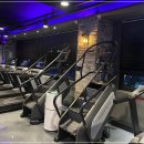 바디채널 상남점 이미지