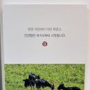 광명대교 | 광명맛집추천 겨울 보양식 1티어 안양대교흑염소 밤일마을점