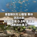 #8] 호핑투어 로컬페이지(나팔링 편)| 코리스파, BS리조트 0.5박 출국팩 후기 | 보홀 팡라오 공항 라면