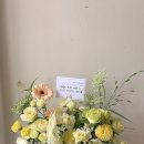 (주)에코송이 | 꽃바구니 잘하는곳?! 지난주 가장 많이 선택된 꽃바구니 모음🌼 | 에코시티꽃집 꽃,송이(전주꽃바구니추천)