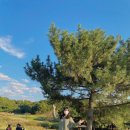 옹기종기작은도서관 이미지