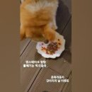 준독라운지 티스토리