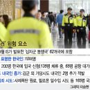 안전지대