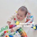 참좋은보조기 | 7개월 아기 걸음마 연습, 베이비아인슈타인 피아노 어라운드 위고 보행기 사용 후기 (ft. 사용시기/조립)