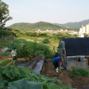 이재철농장 이미지