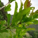 마리농장 이미지