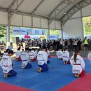 인제 블랙벨트센터 태권도장 이미지