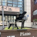 수피아노학원 | 강남 피아노 학원 후기 🎹 성인 취미로 시작하기 좋은 곳,피아노라포 piano rapport