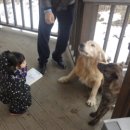 산삼꽃피는마을 이미지