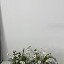 메이앤데이지 | [다람쥐축제준비] 플라워디렉팅 계약&촬영 @로즈앤모어