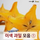 너의과일