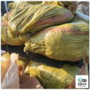 은광수지 이미지