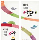 태백 11 강원일보