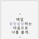 올랑 이미지