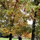 프라하 당구장 이미지