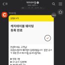 캐치투어 이미지