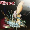 황산초지사계절바다낚시터 이미지