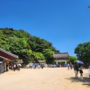 대성불교 | 경북 경주 석굴암 - 동해를 바라보는 석가모니불이 안치된 동양 최고 불교 예술 작품