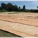 은희농장 이미지