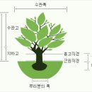 광산구-042 이미지