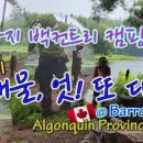 알곤퀸 주립공원 배런 캐년 백컨트리 캠핑 - 에피소드 3 / Barron River Backcountry Camping - No 3 이미지