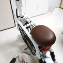 뚜뚜애견 이미지