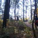 낙동간이쉼터 이미지