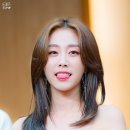 빨간여우 - 서귀포시 표선동서로 230 | 빨간여우