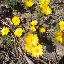 전의농장 이미지