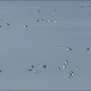 주남저수지 이미지