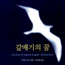 갈매기의 꿈 이미지