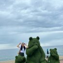 연곡해변 솔향기캠핑장 이미지