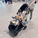 주정차CCTV-리얼야구존 | [베트남 푸꾸옥 20개월 아기랑 4박 6일] 여행 1일차 - 대한항공 / 인천공항 주차대행 / 공항픽업신청...