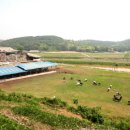 가나안목장 이미지