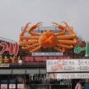 낙원목장 이미지