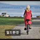 월드환경