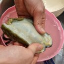 선주네 생선팜 네이버블로그