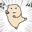 금당한옥펜션 네이버블로그