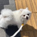 개린이 유치원 이미지