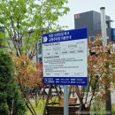 대전 디저트 카페 파티세리소신 꿈돌이 타르트 후기