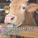 한터농원 영농조합법인 | 주말 아이와 갈만 한 곳 용인 한터농원 가성비 체험이 가득