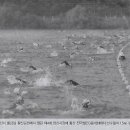나라축산 이미지