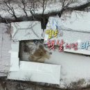 바람고갯길 이미지