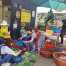 싱싱도서관 이미지