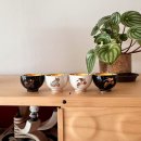 골드드림 이미지