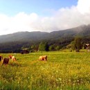 전원풍경 이미지