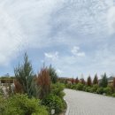 아담 목장 이미지